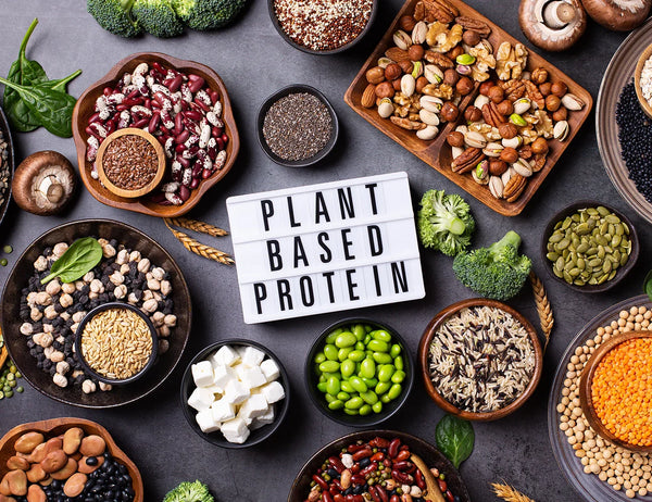 Plant-Based Protein Powder
