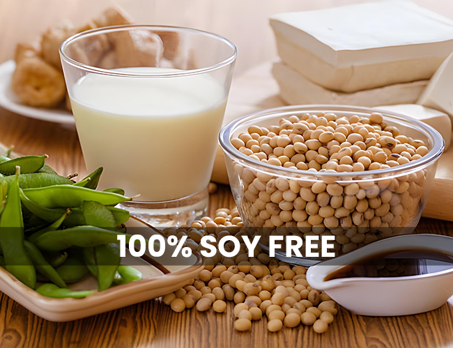 no Soy